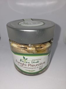 FUNGHI pleurotus 