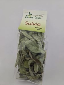 SALVIA